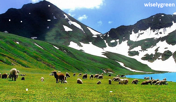 A Haven for Nature Lovers Unveiling Dudipatsar National Park