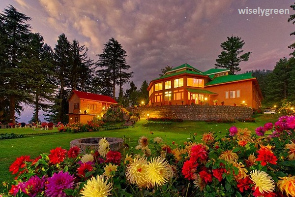 A Touch of Tradition Unveiling Shogran's Local Charm