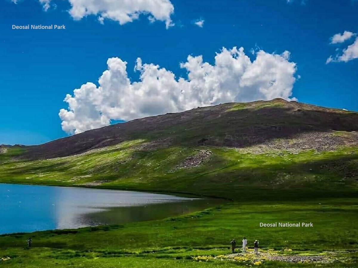 Deosai National Park Gilgit Baltistan