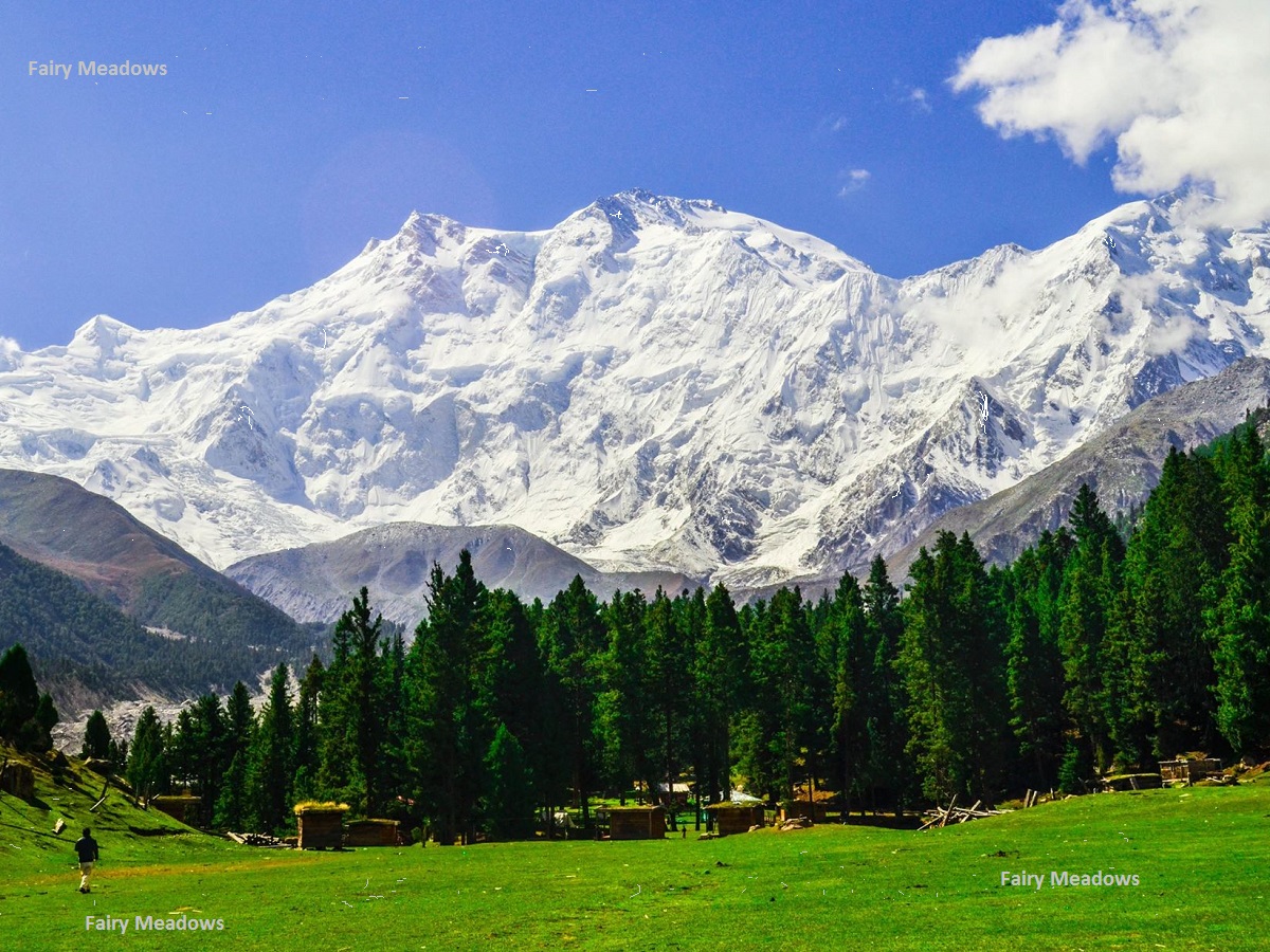 Fairy Meadows