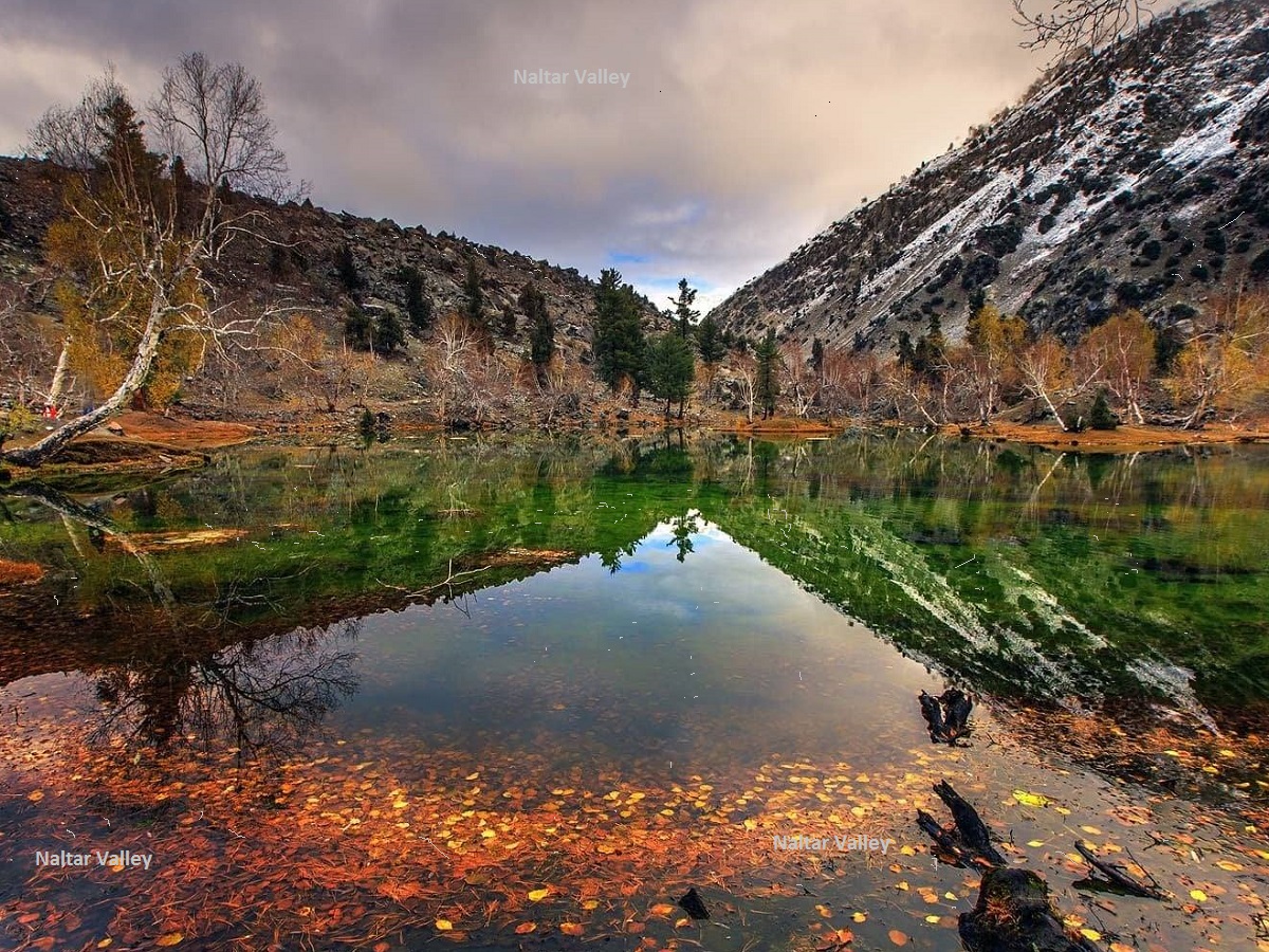 Naltar Valley Gilgit Baltistan