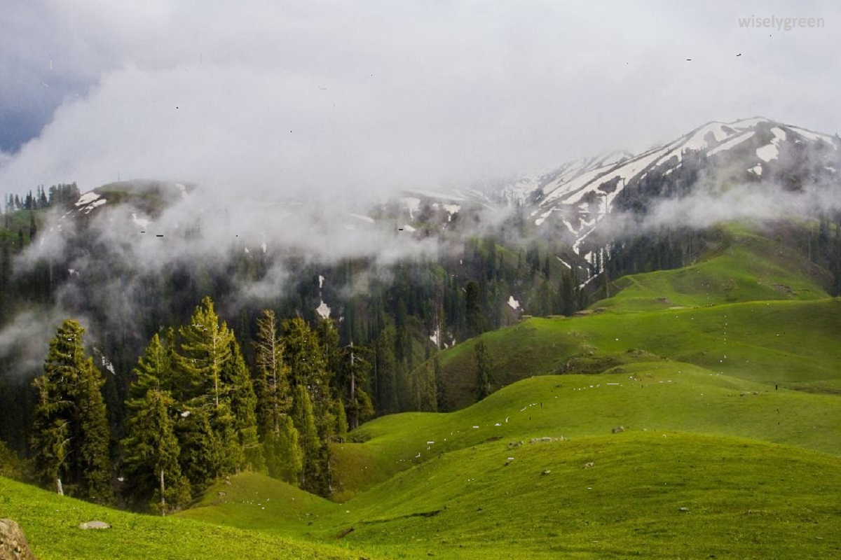 Siri Paye Naran Kaghan Pakistan