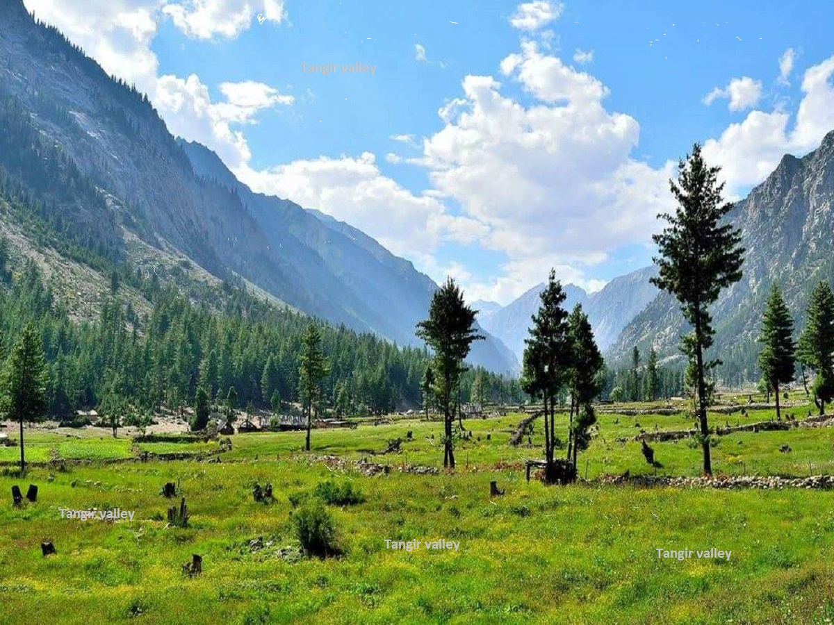 Tangir valley Gilgit Baltistan