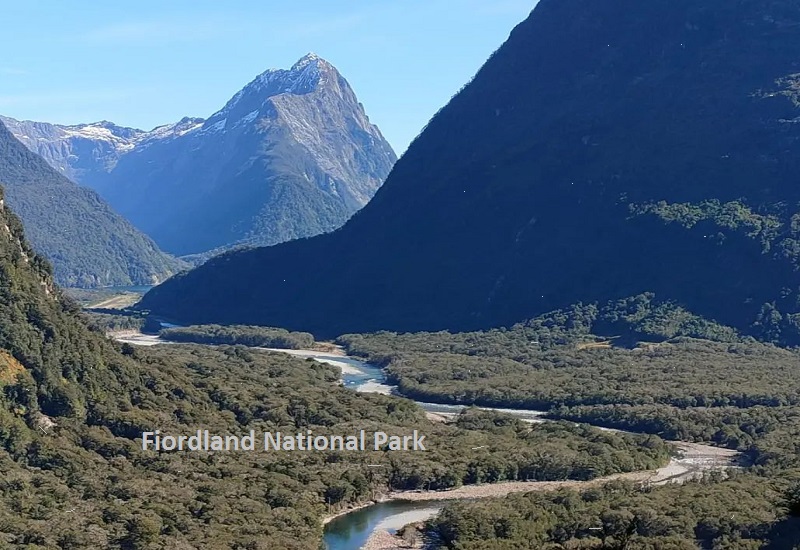 A Glimpse into a Unique Ecosystem Fiordland National Park