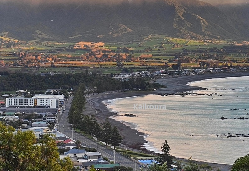 A Haven for Wildlife Kaikoura