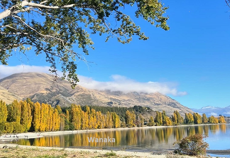 Beyond the Excitement Wanaka