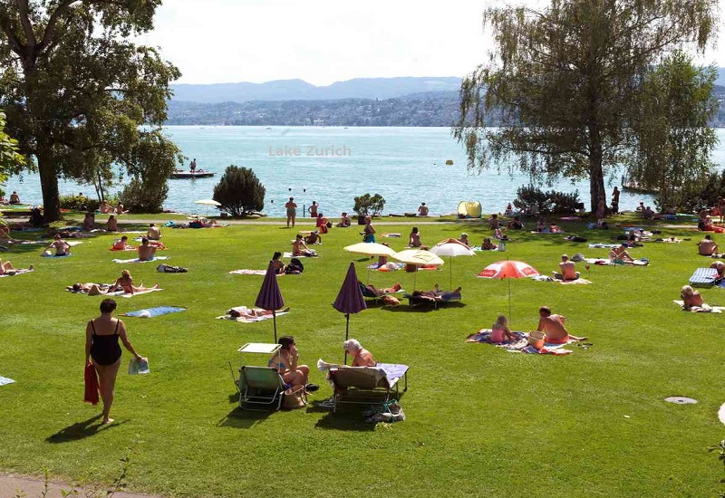 Lake Zurich Lakeside Bliss