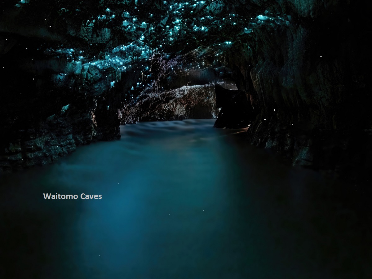 Waitomo Caves