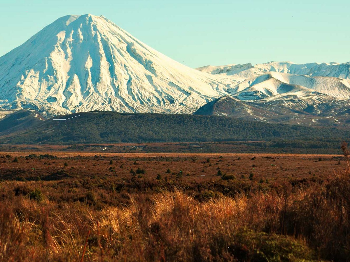 How to Get to Tongariro National Park